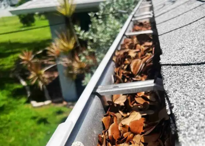 Mount Holly gutter cleaning home page